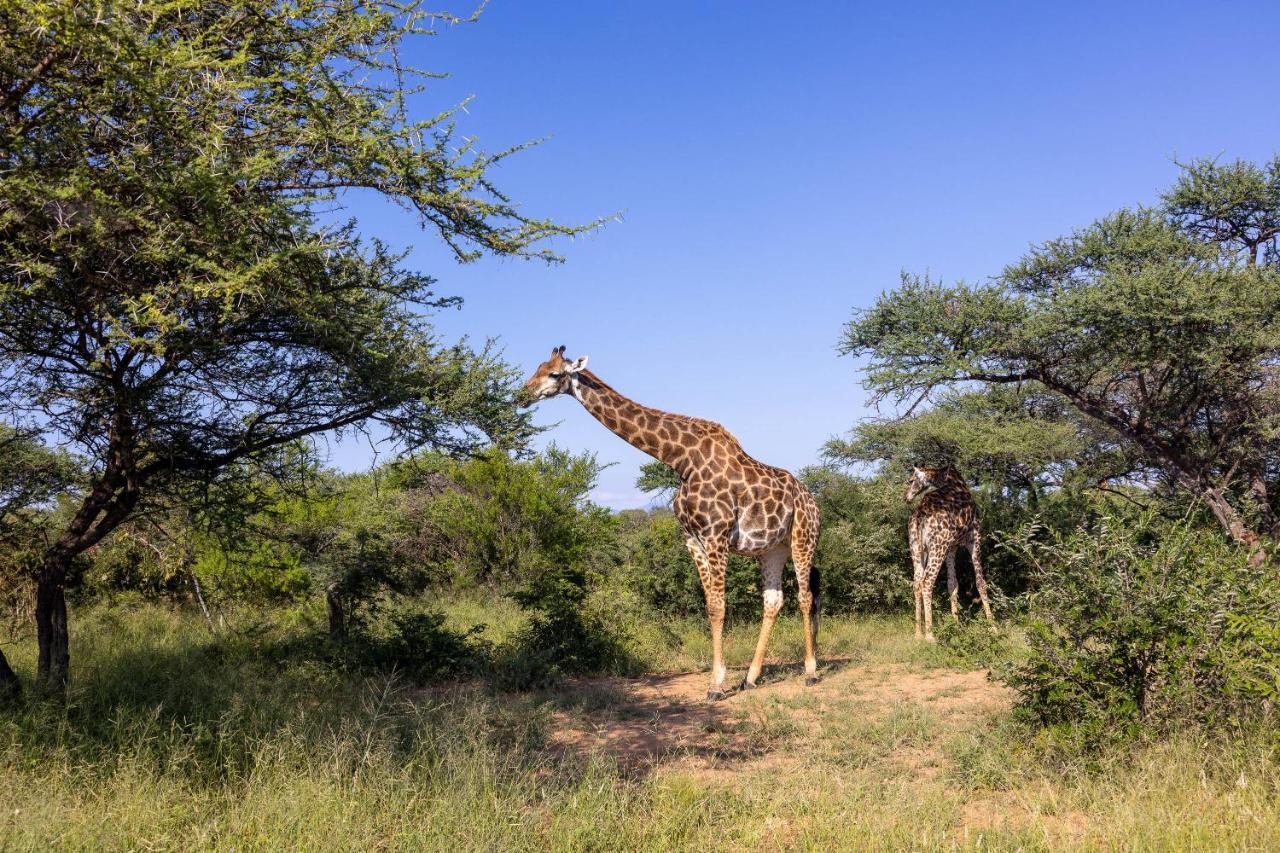 Oase By 7 Star Lodges - Greater Kruger Private 530Ha Reserve Худспрут Экстерьер фото